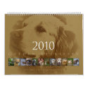 Golden Retriever - Wall Calendar 2010