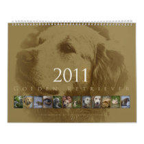 Golden Retriever - Wall Calendar 2011