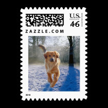 golden retriever winter scene stamps