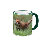 Golden Retriever with Duck Mug