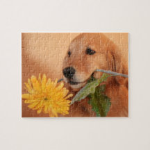 Golden Retriever With Flower Jigsaw Puzzle