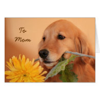 Golden Retriever With Flower Mother's Day Card
