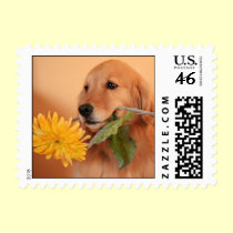 Golden Retriever With Flower Postage Stamp stamps