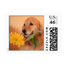 Golden Retriever With Flower Postage Stamp
