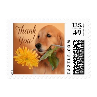 Golden Retriever With Flower Thank You Postage Stamps
