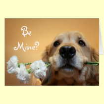 Golden Retriever With Flowers "Be Mine" Card cards