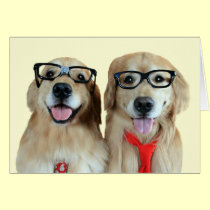 Golden Retriever With Nerd Glasses Greeting Card cards