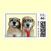 Golden Retriever With Nerd Glasses Postage Stamp stamps
