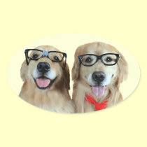 Golden Retriever With Nerd Glasses Stickers stickers