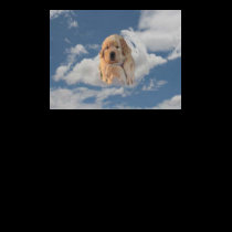 Golden Retrievers Are Heavenly T-Shirt
