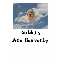 Golden Retrievers Are Heavenly T-Shirt by normagolden Golden Retrievers Are Heavenly T-Shirt