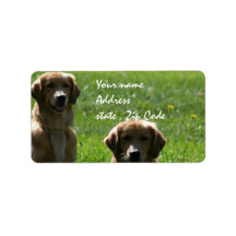 Golden Retrievers Custom Address Label