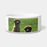 Golden Retrievers Dog Bowls