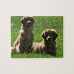 Golden Retrievers Puzzle