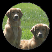 golden retrievers stickers