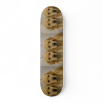 Golden Retriver Twins Skateboard