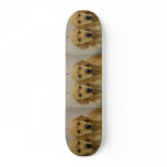 Golden Retriver Twins Skateboard