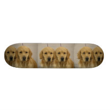 Golden Retriver Twins Skateboard
