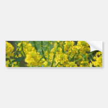 Golden Rod Bumper Sticker