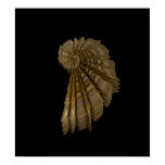 golden romance seashell poster