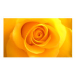Golden Rose business card