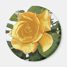 golden rose fridge magnets