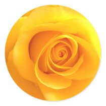 Golden Rose Stickers by GlamSorbet Golden Rose Stickers