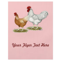 Golden Sex-link Chickens Custom Flyer