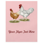 Golden Sex-link Chickens Custom Flyer