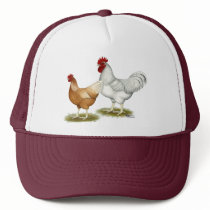 Golden Sex-link Chickens Mesh Hat