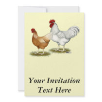 Golden Sex-link Chickens Personalized Invites
