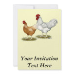 Golden Sex-link Chickens Personalized Invites
