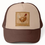 Golden Sex-link Hen hats