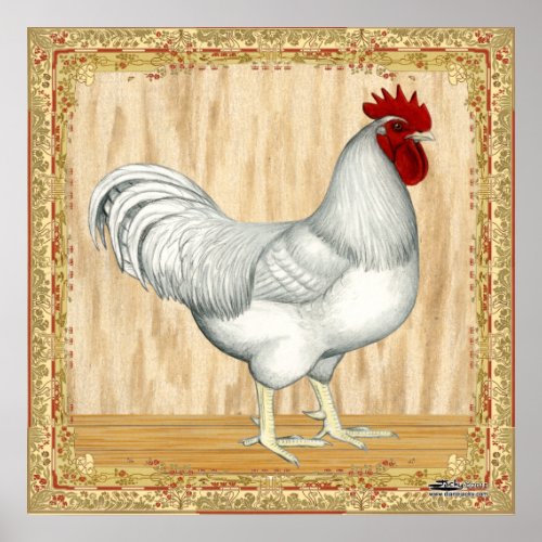 Golden Sex-link Rooster print