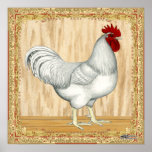 Golden Sex-link Rooster posters
