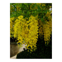 golden shower flower art print by graffkeith golden shower flower art print