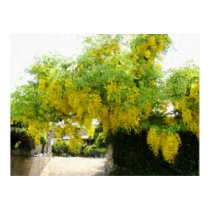 Golden Shower Print