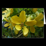 Golden Shower Tree Floral Card