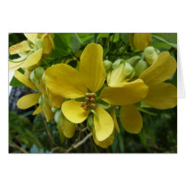 Golden Shower Tree Floral Card