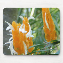 Golden Shrimp Plant mousepads