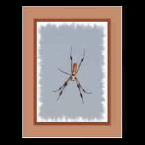 Golden Silk Orb-Weaver postcards