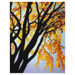 golden sillhouette flyers