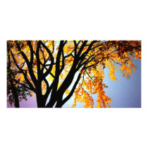 golden sillhouette photo greeting card