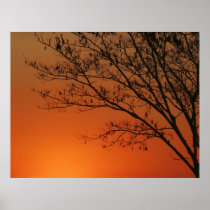 Golden Sky posters