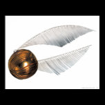 Golden Snitch posters