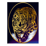 Golden Snow Tiger Postcard