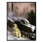 Golden Snowy Skyline Postcard