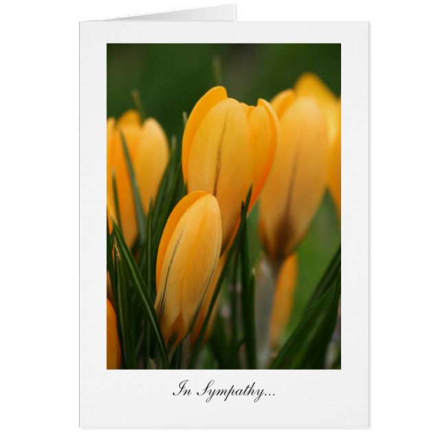 Golden Spring Crocuses - In Sympathy Greeting Card Golden Spring Crocuses - In Sympathy Greeting Card