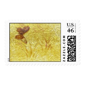 Golden Summers stamp