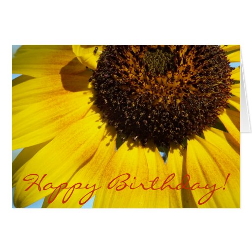 Golden Sunflower Greeting-Birthday Cards